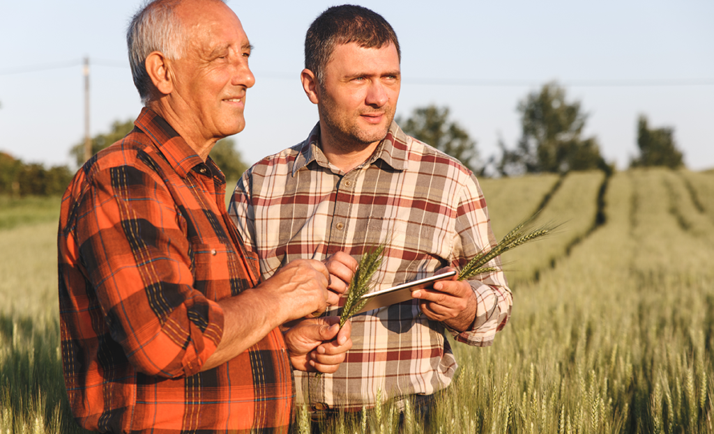Descubra como atrair mais tráfego em um blog de tecnologia agrícola