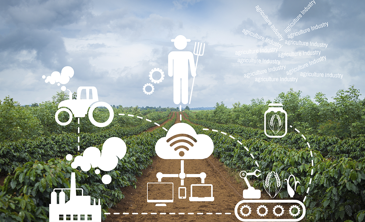 Descubra como atrair mais tráfego em um blog de tecnologia agrícola